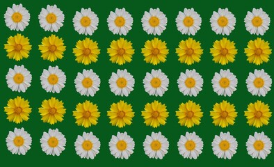 collection of flowers .Chamomile herbal design great for fashion fabric