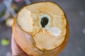 Brown Coconut Crushed White Coconut Meat