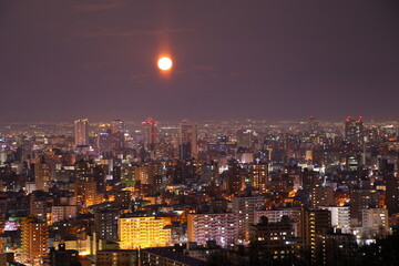 Obraz premium 冬の旭山記念公園の夜景