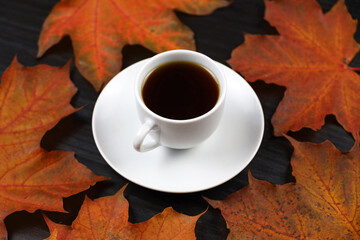 White cup of coffee or tea with saucer on red maple leaves and black wooden table. Hot drink in autumn weather