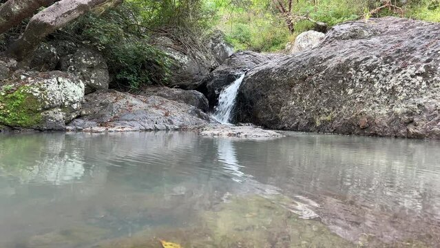 Sierra de manantlan, autlan de navarro, jalisco