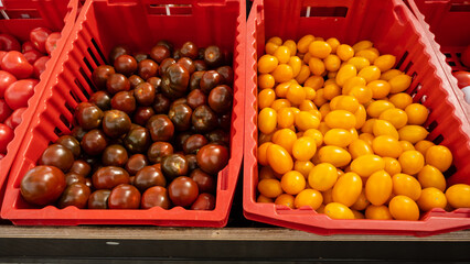 Group of red tomatoes in green plastic boxes. Tomatoes harvest close up.
