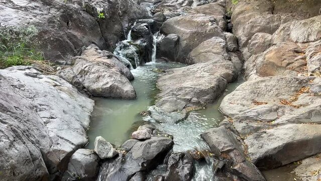 Sierra de manantlan, autlan de navarro, jalisco