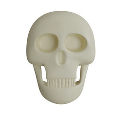 human skull isolated