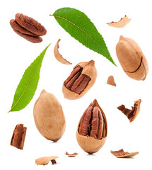 pecan nuts with shells and leaves isolated on white background.