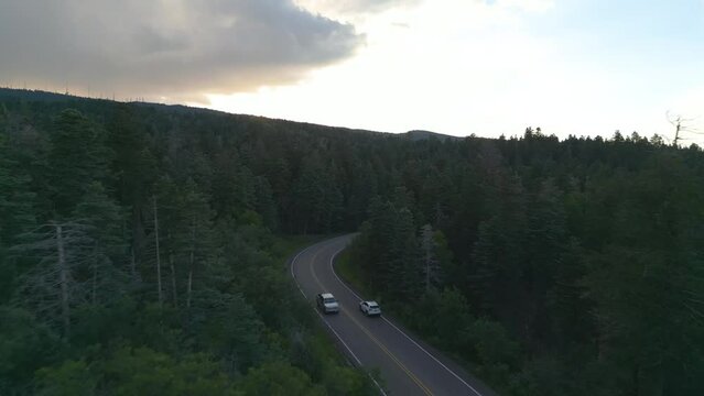 Drone Shot of White Car Moving on Countryside Road Surrounded by Thick Evergreen Forest in Dusk