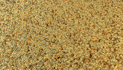 gold nugget or gold ingot and bullion background. 3d illustration