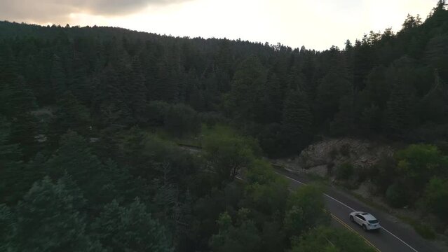 Aerial View, White Car Moving on American Countryside Road in Coniferous Forest at Twilight, Drone Shot