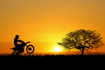 Silhouette for a beautiful evening or morning light background with copyspace for content.