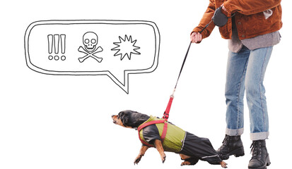Aggressive, reactive dog on the leash against isolated background with speech bubble. Funny...