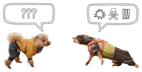 Aggressive, reactive dog confronting other dog against isolated background with speech bubble. Funny dachshund with comics style symbols of negative emotions, problems with pet behaviour