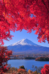 富士山と紅葉
