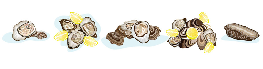 Set of tasty oysters on white background