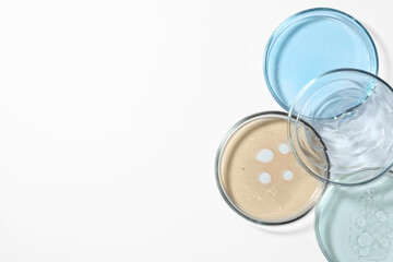 Petri dishes with color liquids on white background, flat lay. Space for text