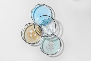 Petri dishes with color liquids on white background, flat lay