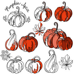 Autumn pumpkins set in orange colors and contour