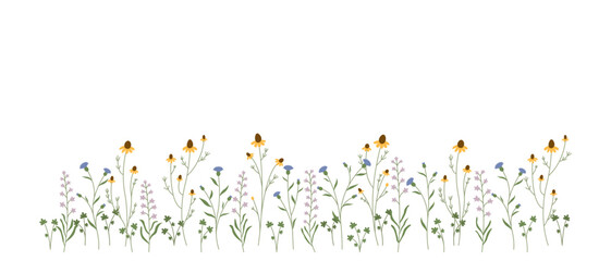 Beautiful meadow flowers on white background