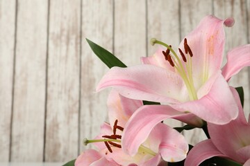 Beautiful pink lily flowers on white wooden background, closeup. Space for text