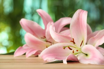 Beautiful pink lily flowers on wooden table against blurred green background, closeup