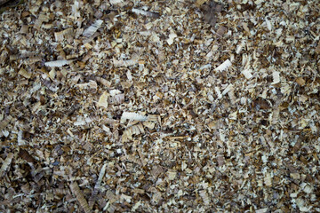 sawdust wood for a brown abstract background