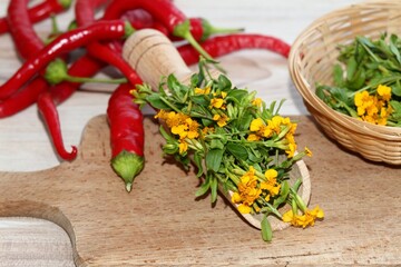Fresh mexican tarragon, lat. Tagetes lucida, favourite spice. Mexican tarragon herb on wooden spoon, red pepper at back. Culinary and medicinal herb with strong taste and aroma.