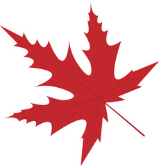 maple leaf