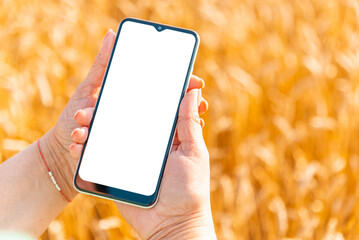 Mockup image.Female farmer standing in wheat field and using mobile phone,selective focus.Closeup.