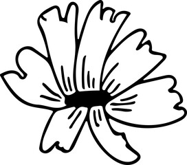 Hand drawn Floral, plants doodles illustration