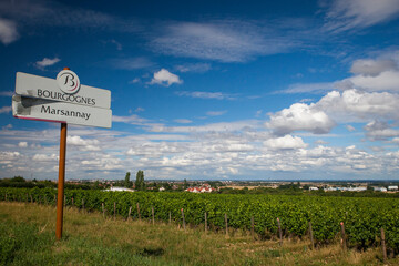 The mosto important vineyards in Burgundy France