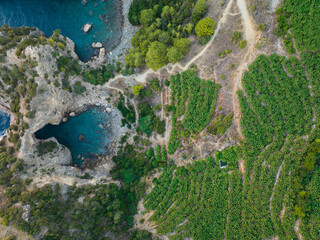 Banana Gardens and Hole Sea Beach Drone Photo, Gazipasa Antalya, Turkey