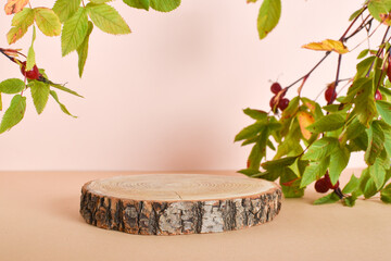 Wooden podium with rosehip for the presentation of eco-products.
