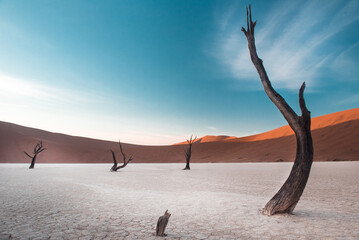 namibia dune