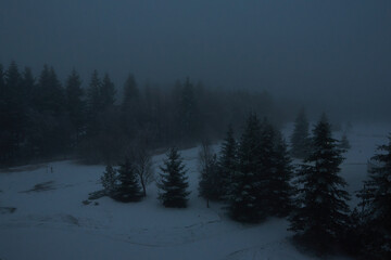 Nebel im Winter im Erzgebirge