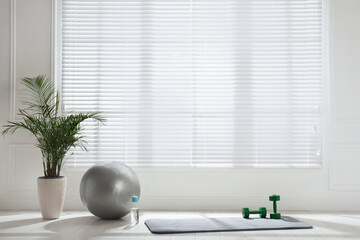 Exercise mat, dumbbells, fitness ball and houseplant near window in spacious room