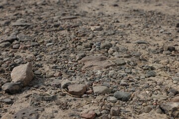Dirt road with stones as background, closeup