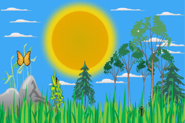 landscape with grass and flowers