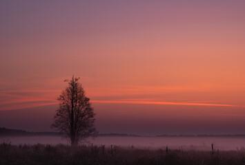 Fototapeta na wymiar Autumn, misty morning and sunrise in the countryside