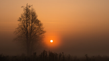 Autumn, misty morning and sunrise in the countryside © Pawel 
