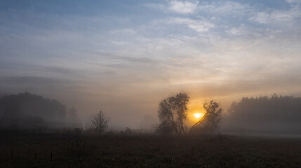 Naklejka na ściany i meble Autumn, misty morning and sunrise in the countryside
