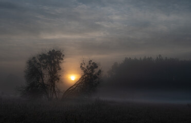 Autumn, misty morning and sunrise in the countryside