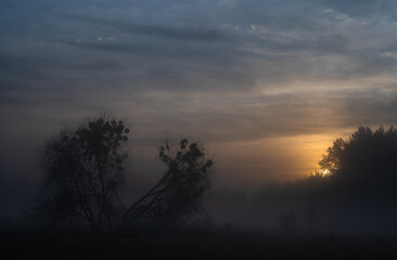Autumn, misty morning and sunrise in the countryside © Pawel 