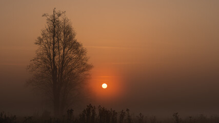 Autumn, misty morning and sunrise in the countryside © Pawel 
