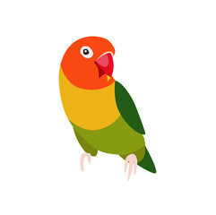 Bright parrot. exotic bird. Beautiful parrot. Ara.