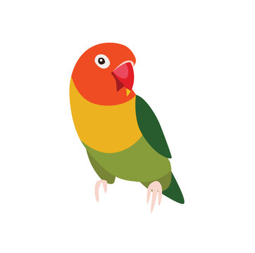 Print. Vector bright parrot. exotic bird. Beautiful parrot. Ara.