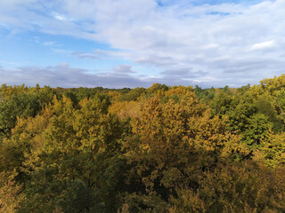 Autumn forest with yellow, gold and green foliage. Bright fall landscape with tree tops and blue sky.