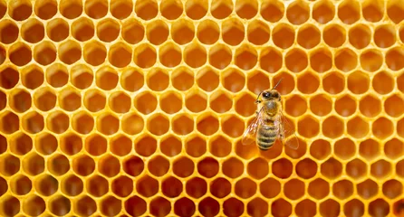 Fotobehang Beautiful honeycomb with bees close-up. A swarm of bees crawls through the combs collecting honey. Beekeeping, wholesome food for health. © Vera