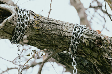 Catene intorno un ramo