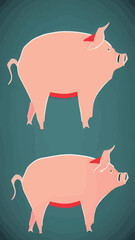 Vector funny pig on color background