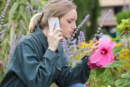 young woman using smart phone in the garden