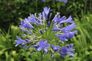 Vacances en France 2022 en montagne, au bord de la mer